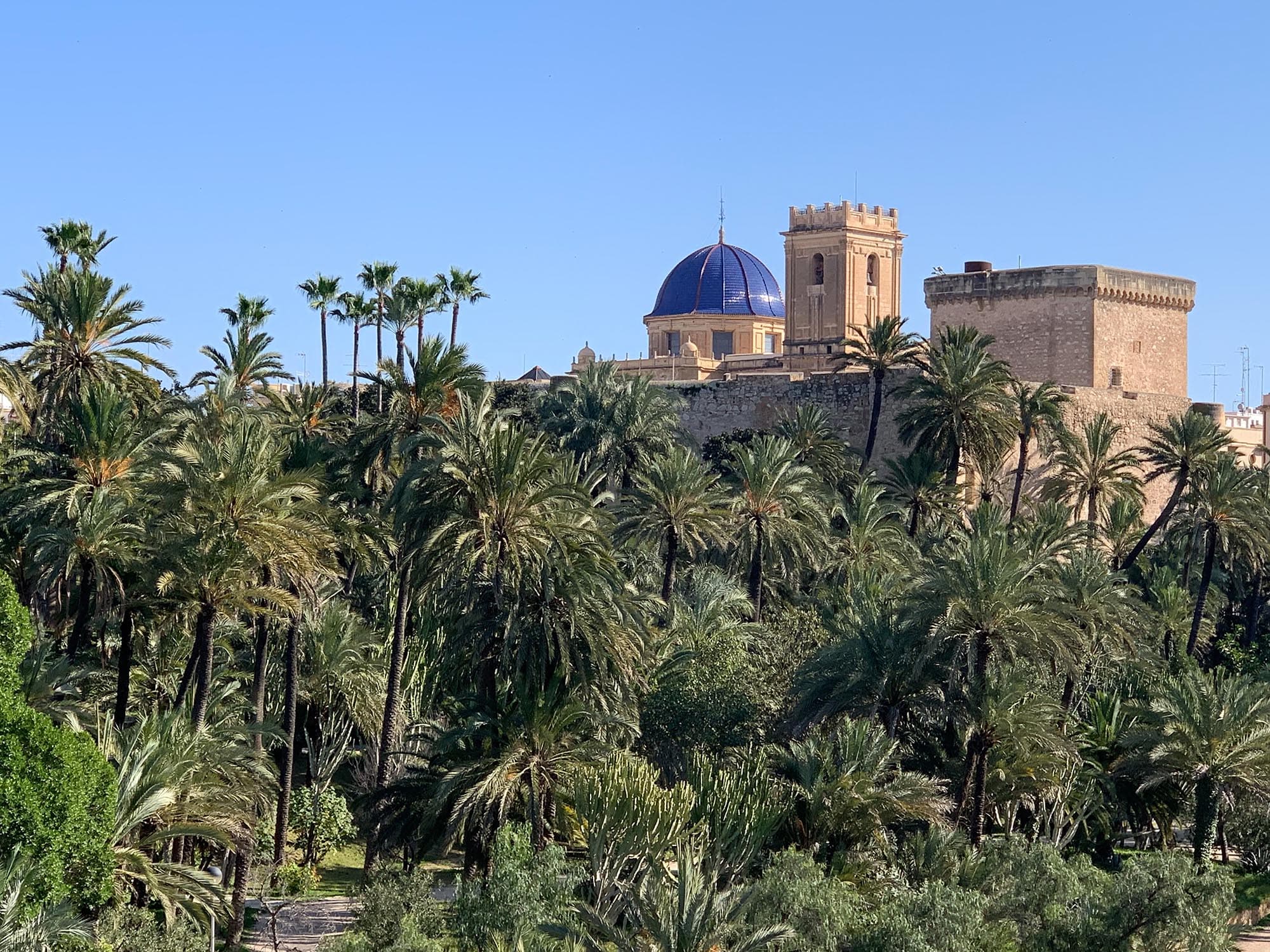 Elche