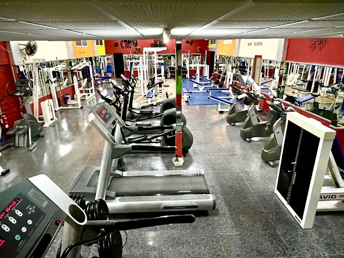 Gimnasio Acrópolis in Alicante: what the no-frills gym is actually like