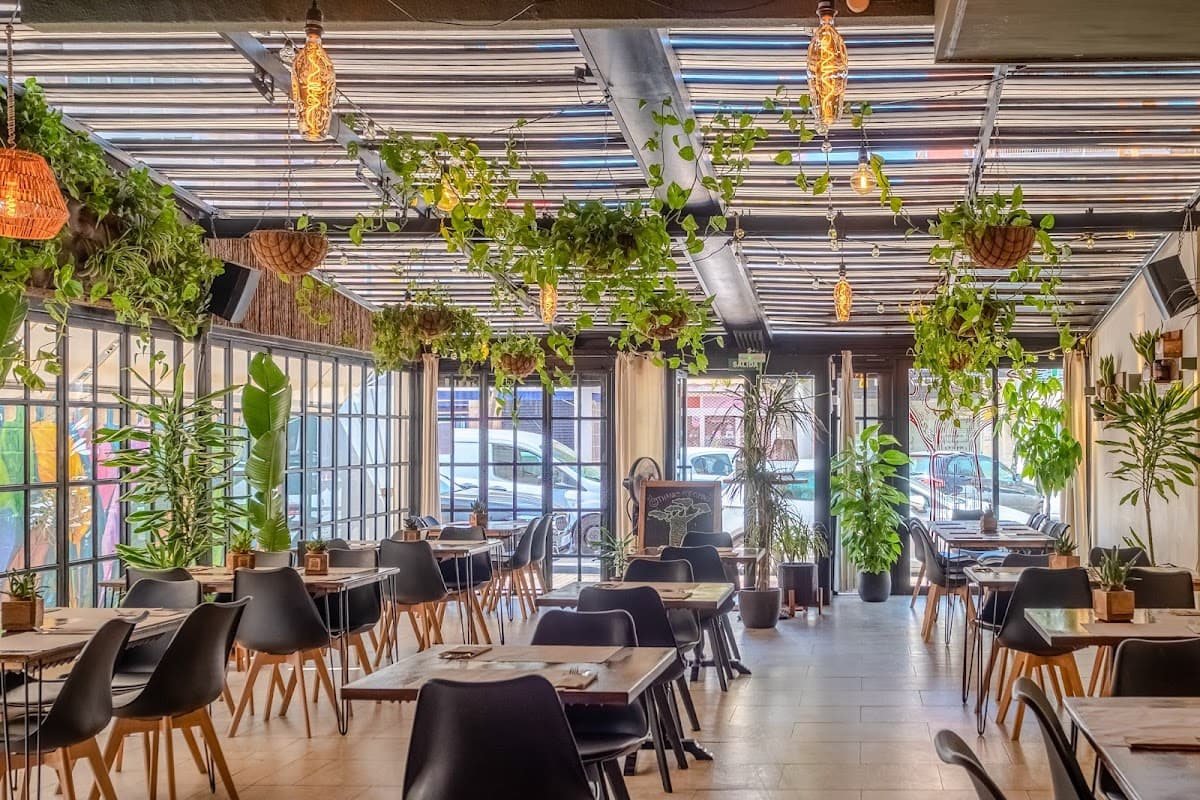 Baobab in Playa de San Juan: can vegan fusion win over meat-eaters?