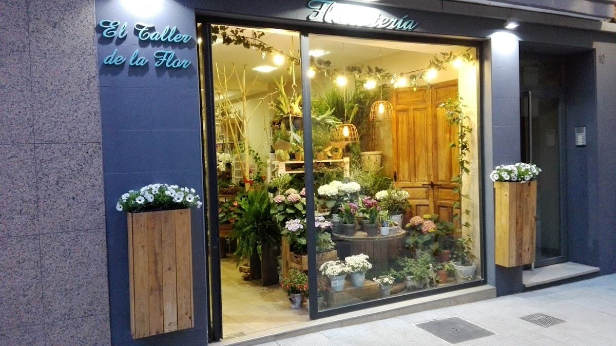 El Taller de la Flor: what old town coworking in Alicante gets you