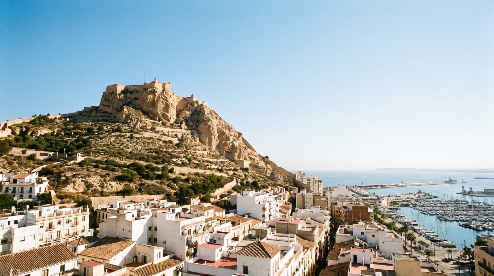 What's New on the Costa Blanca This Week (11 July 2026)
