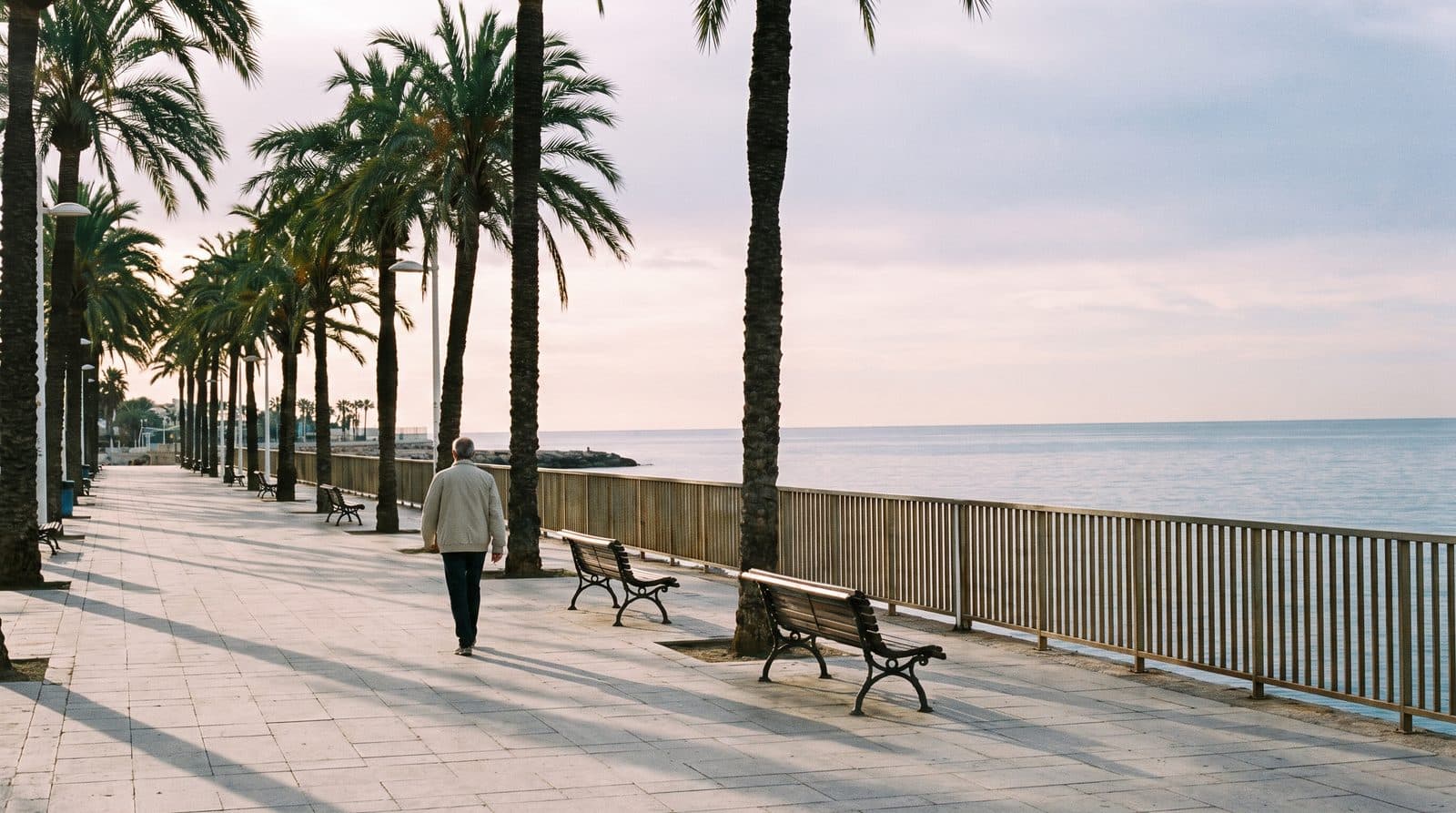 Costa Blanca news, 17 August 2026: Almoradí fiesta officially honoured