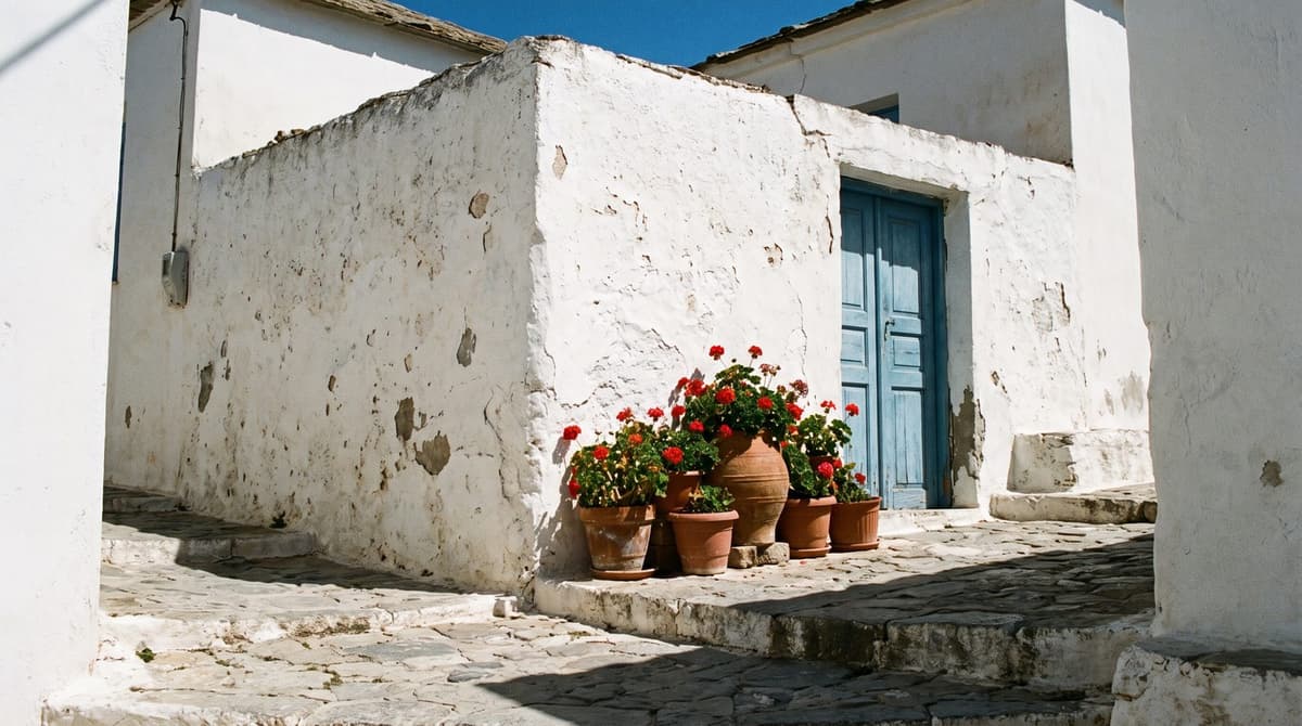 What's new on the Costa Blanca, 10 September 2026: fiestas and cheap rent